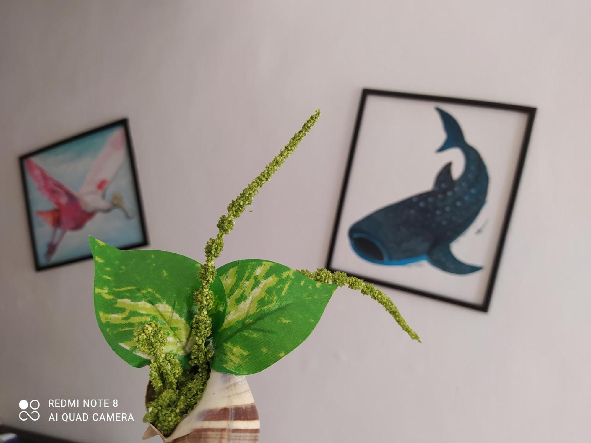 Casa Ohana-disfruta Del Paraiso * Isla Holbox
